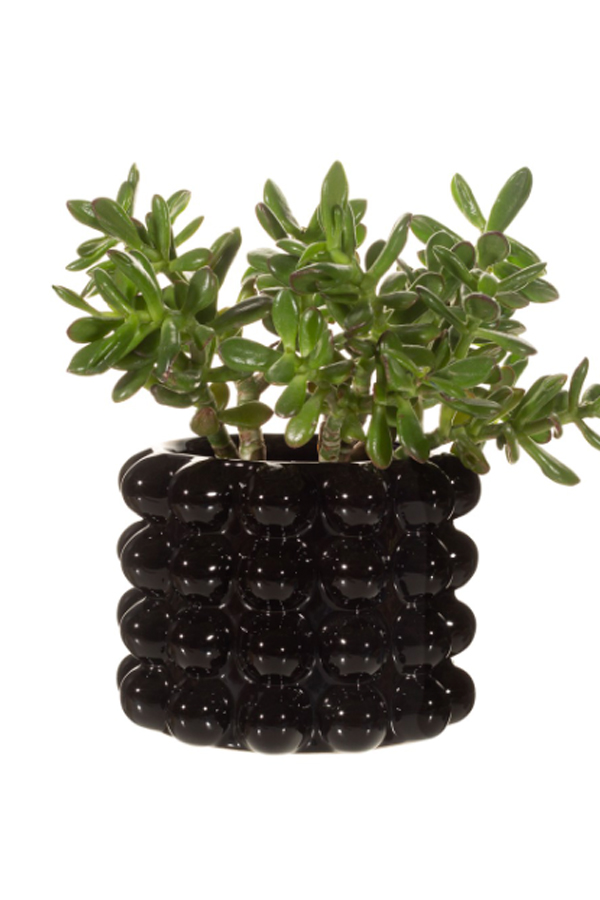Black Bobble plant pot