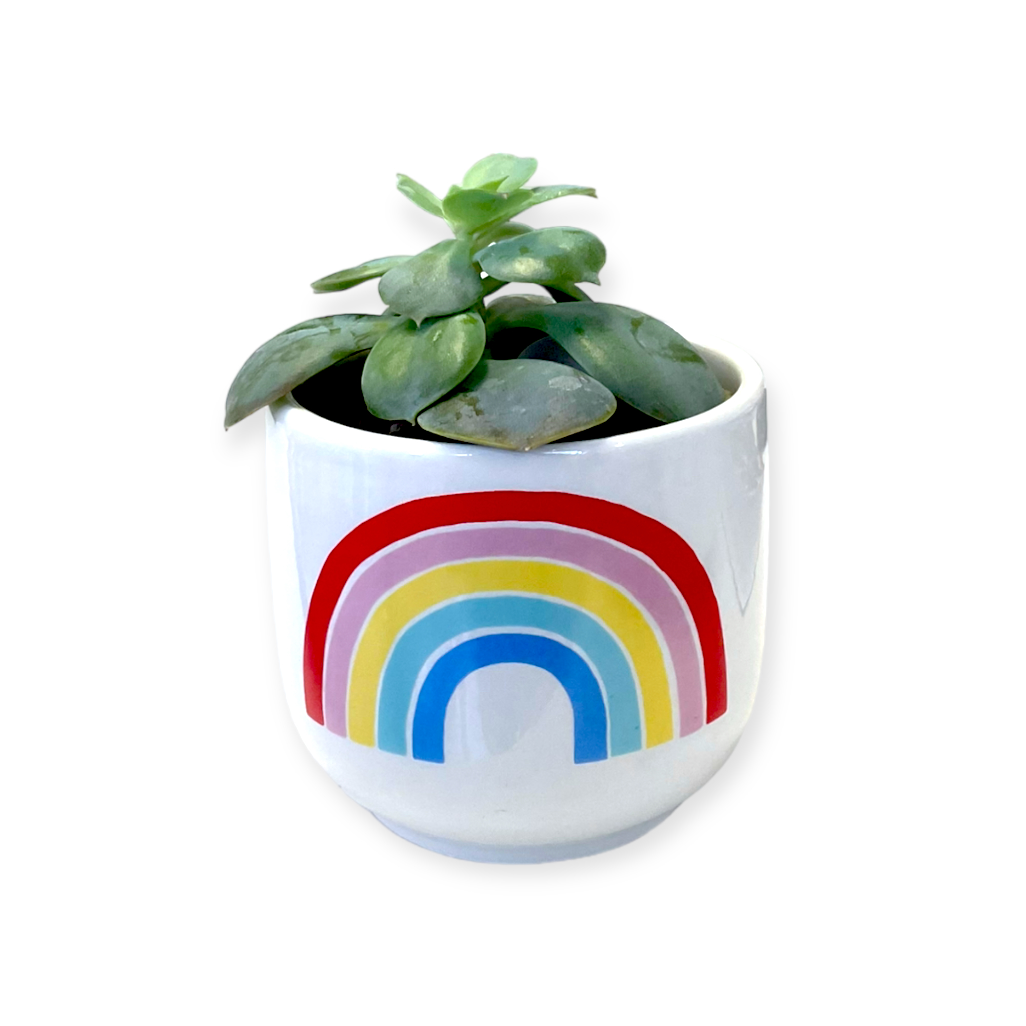Mini rainbow Planter – small plant or Trinket pot
